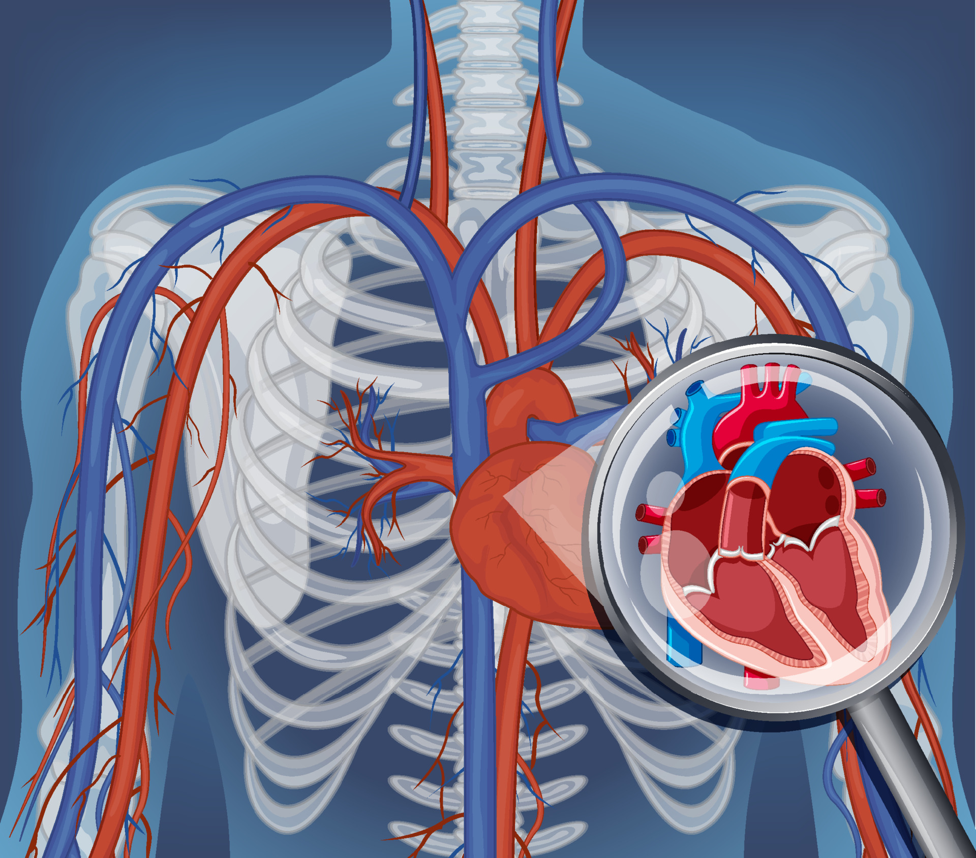 Featured image for “Die partielle Herztransplantation, weil Kinder wachsen, Ventile nicht”